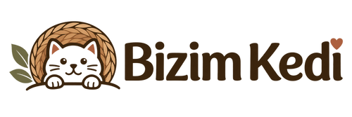 Bizim Kedi